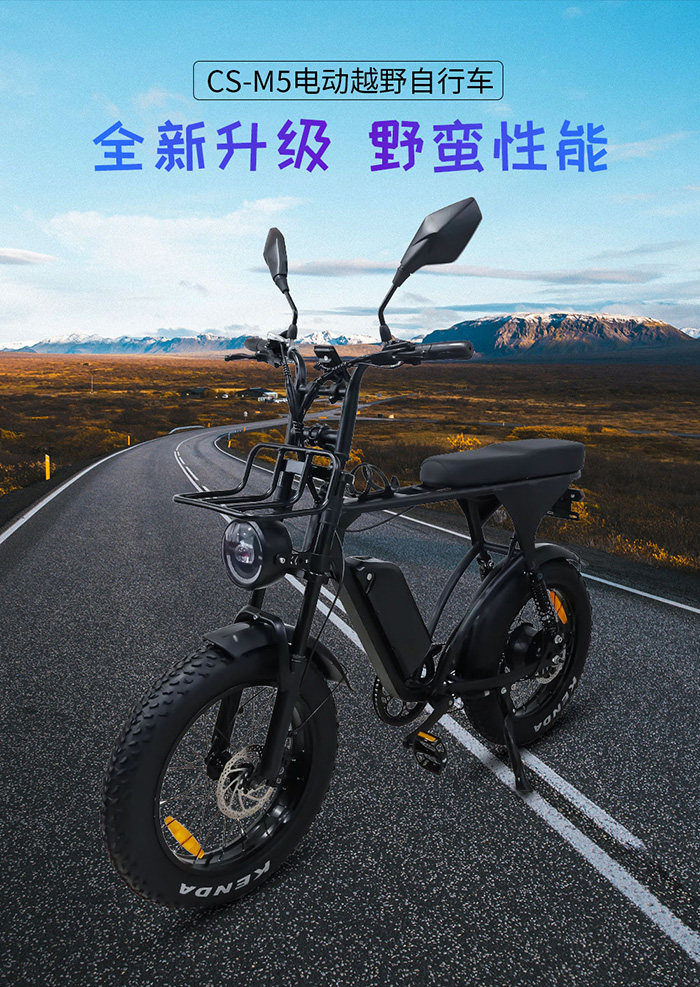 爱路卡登M5电动自行车.jpg