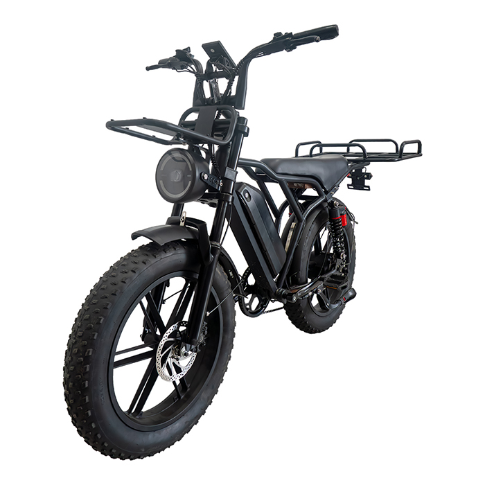 CS-M20 电动越野自行车