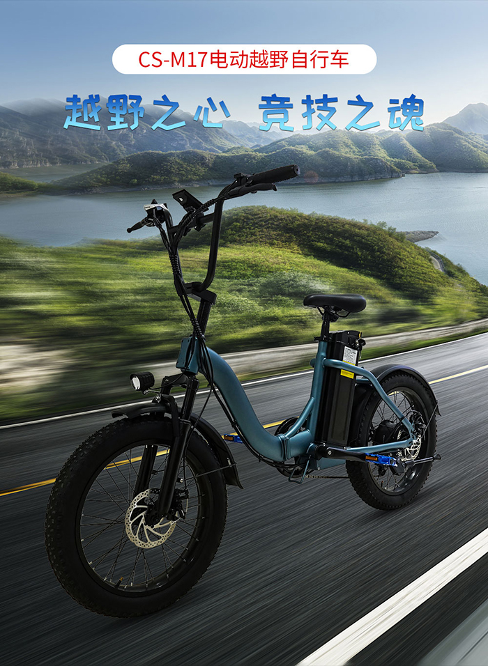 爱路卡登CS-M17电动越野自行车.jpg