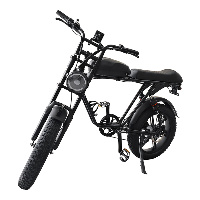 CS-M2 电动越野自行车