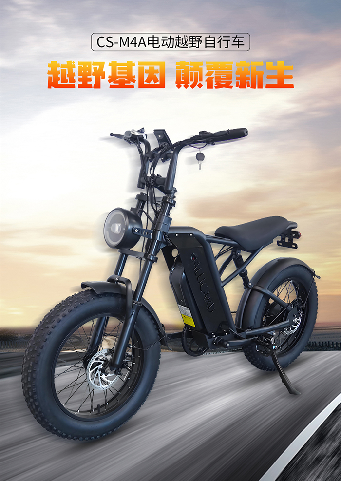 大功率电动越野自行车.jpg