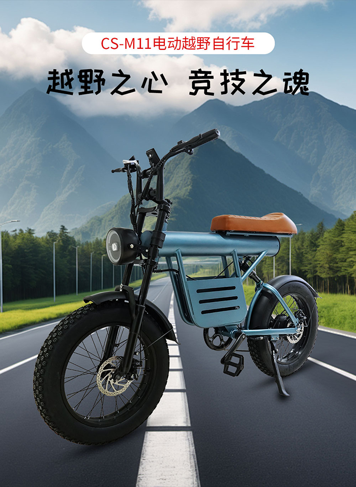 爱路卡登CS-M11电动越野自行车.jpg