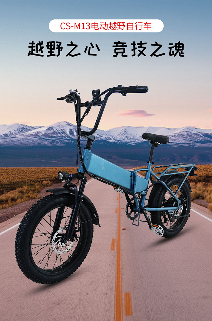 爱路卡登CS-M13电动越野自行车.jpg