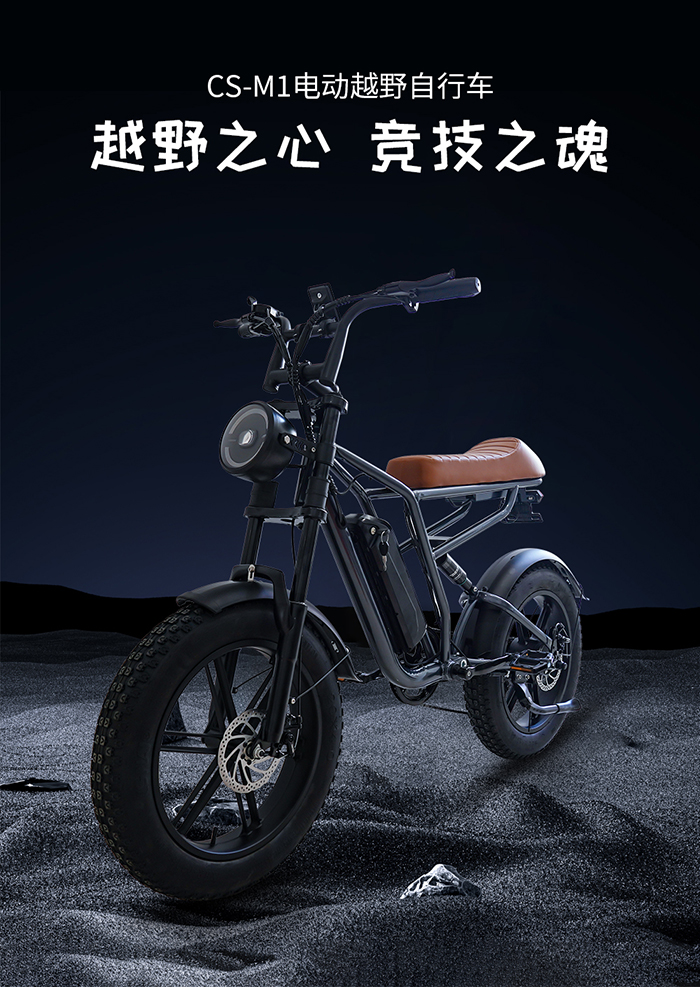 爱路卡登电动越野自行车.jpg