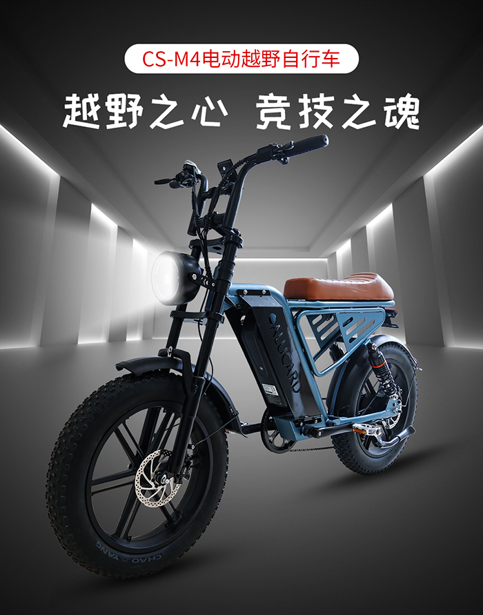 爱路卡登M4电动越野自行车.jpg