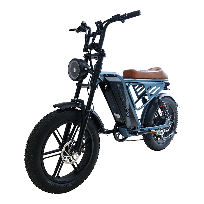 CS-M4 电动越野自行车