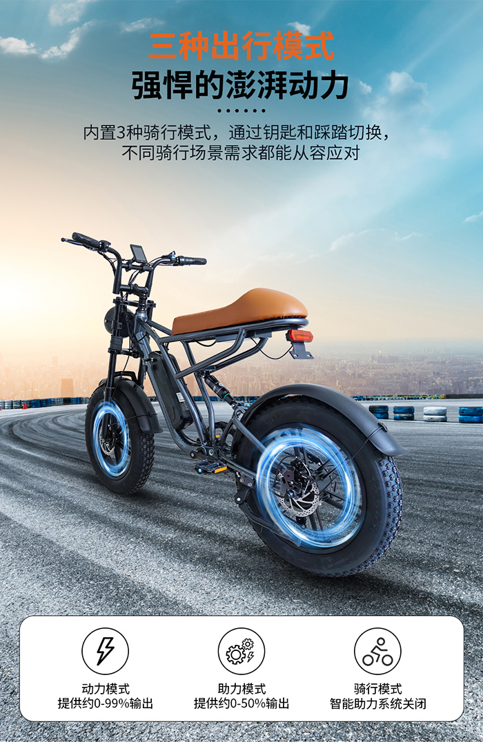 爱路卡登电动越野自行车.jpg