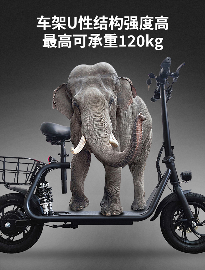 爱路卡登电动车.jpg