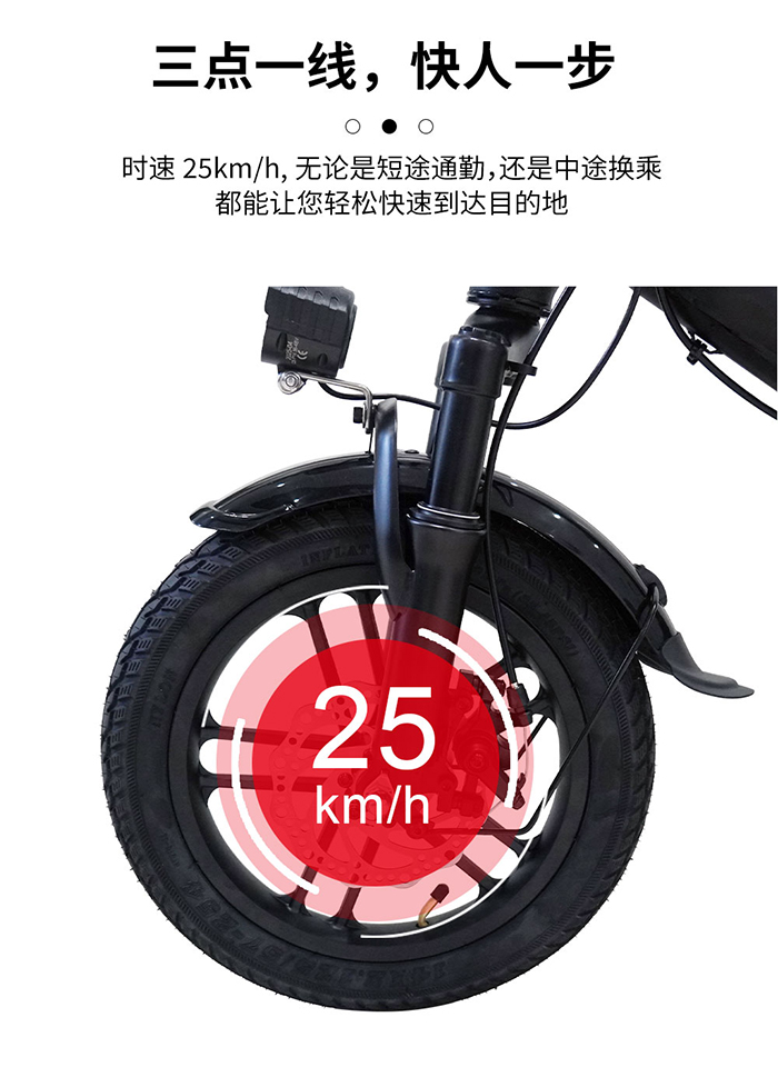 爱路卡登P15电动自行车.jpg