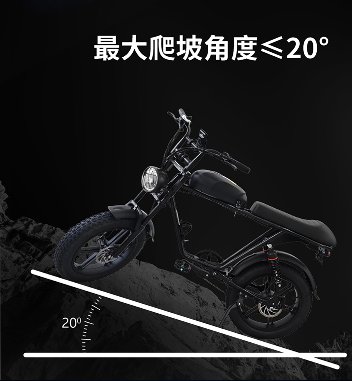爱路卡登M2电动越野自行车.jpg