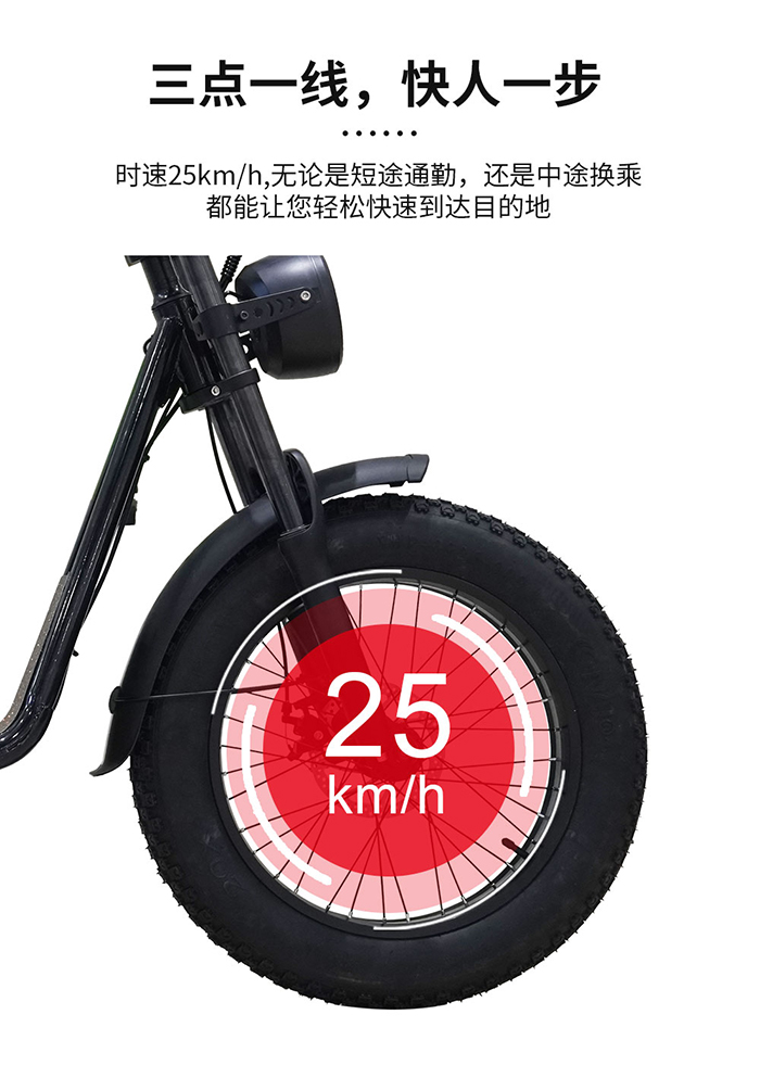 越野电动自行车.jpg