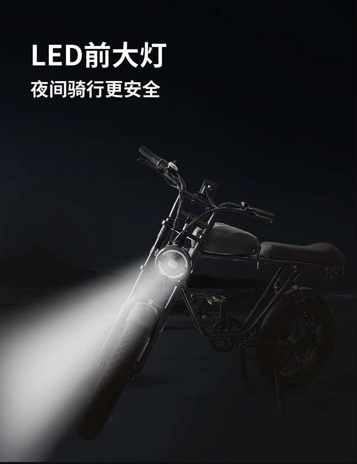 爱路卡登M2电动越野自行车.jpg