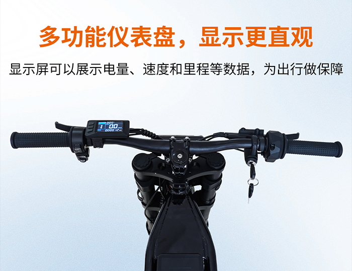 爱路卡登F1电动越野自行车.jpg