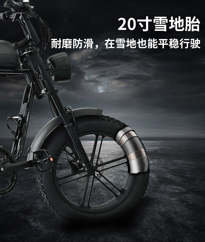 爱路卡登M2电动越野自行车.jpg