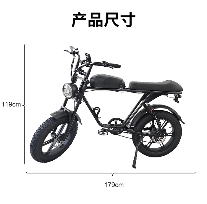 爱路卡登M2电动越野自行车.jpg